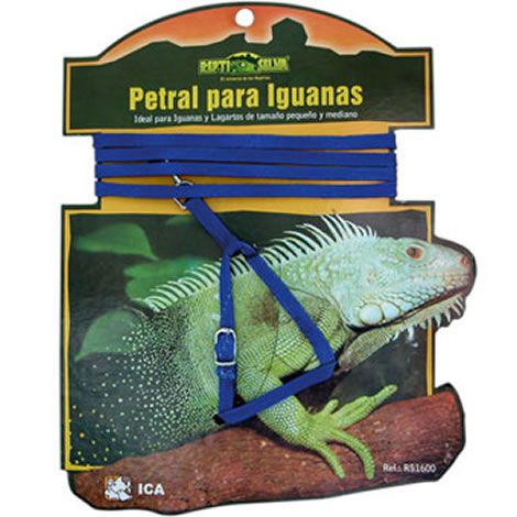 Tipos de correas - Iguana Sell ES